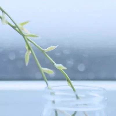 砸了老王家最新版下载